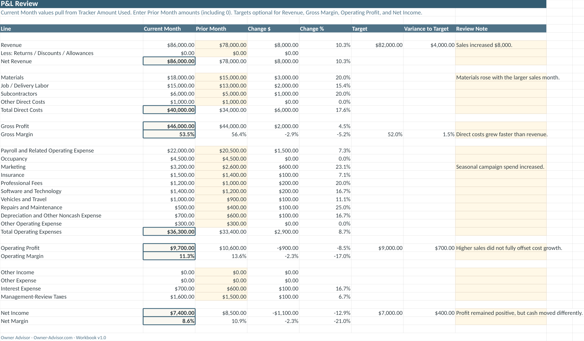 P&L Review worksheet preview from the Owner Advisor Monthly Financial Review Workbook showing fictional demonstration data