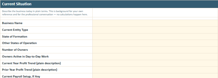 Current Situation worksheet preview from the Owner Advisor S Corporation Decision Worksheet