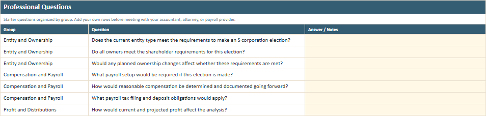 Professional Questions worksheet preview from the Owner Advisor S Corporation Decision Worksheet