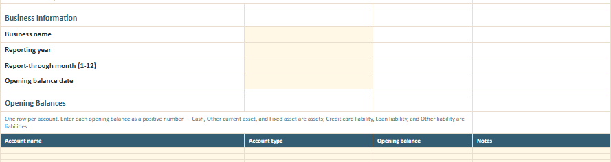 Setup and Opening Balances worksheet preview from the Owner Advisor Simple Business Books Workbook